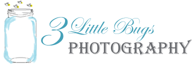 3 Little Bugs Photography Logo